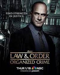 法律与秩序：组织犯罪 第四季第09集